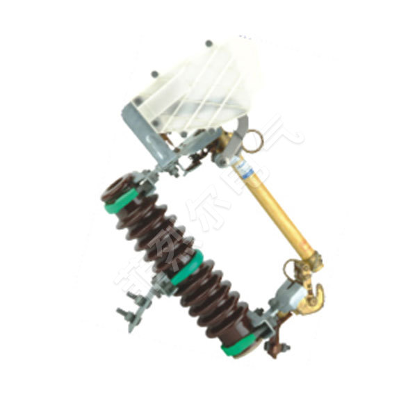 RW10-10F drop out fuse