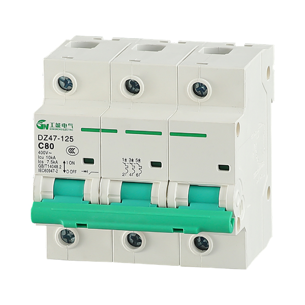 DZ47-125 Series Small Circuit Breaker