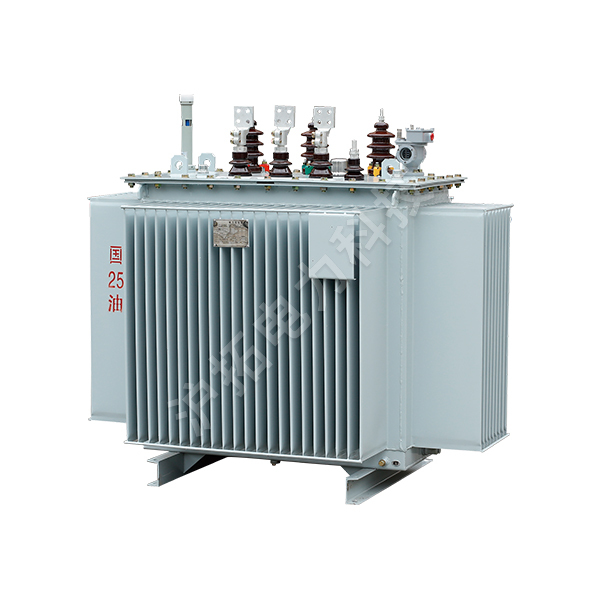 6-10kV oil immersed power transformer