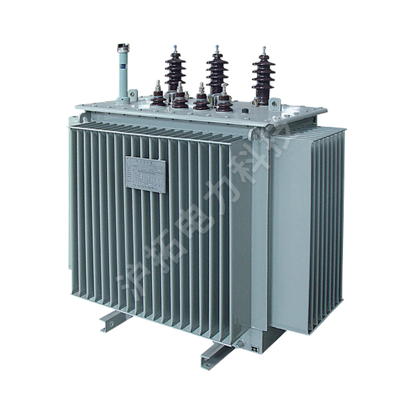 20kV oil immersed power transformer